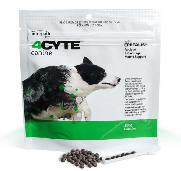 4Cyte Canine Sachet