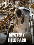 A True Dinosaur Delight Mystery Field Box
