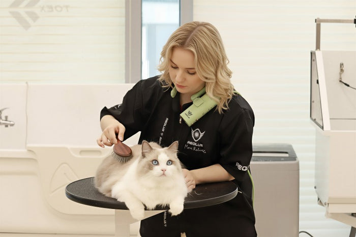 Aeolus TD-912 Pet Neck-Hanging Dryer