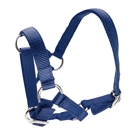 Alpaca Halter
