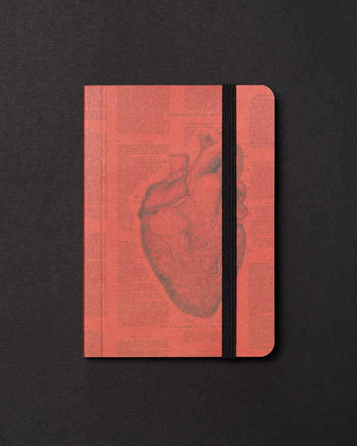 Anatomical Heart Dark Observation Softcover