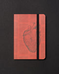 Anatomical Heart Dark Observation Softcover