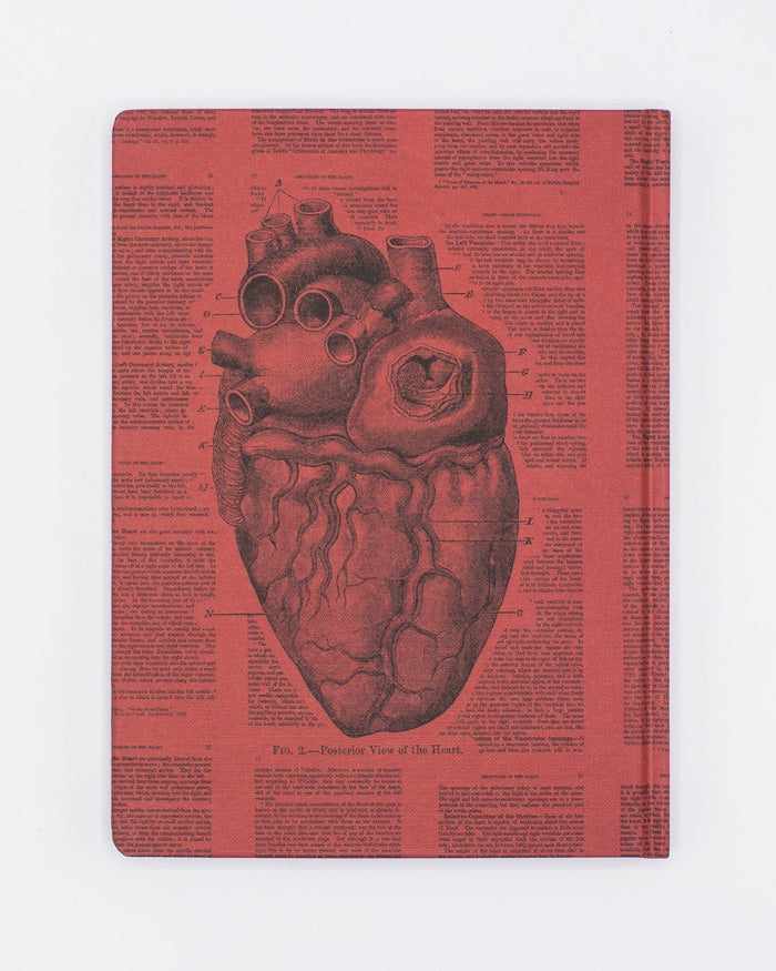 Anatomical Heart Hardcover - Dot Grid Cognitive Surplus
