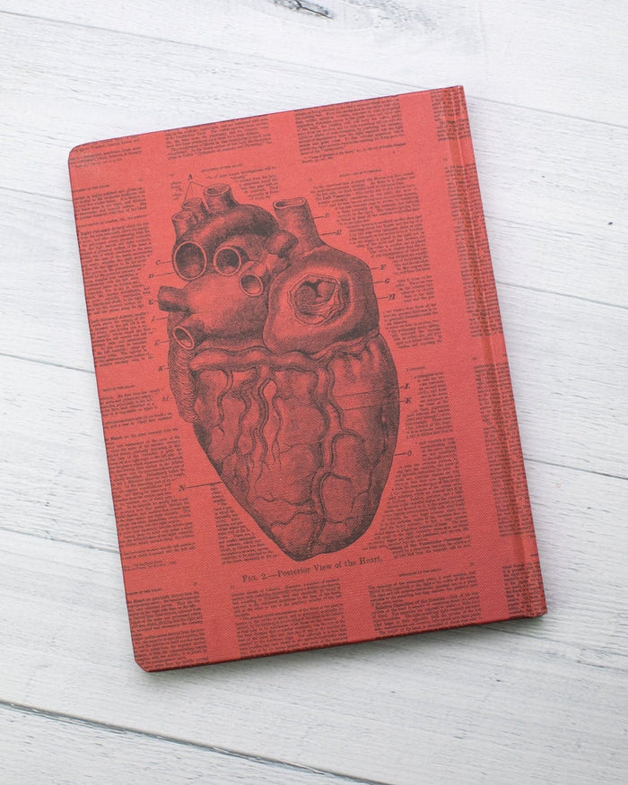 Anatomical Heart Hardcover - Lined/Grid Cognitive Surplus