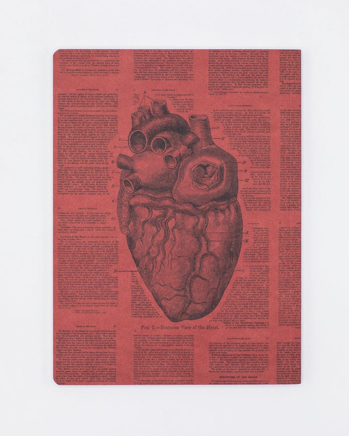 Anatomical Heart Softcover - Lined Cognitive Surplus