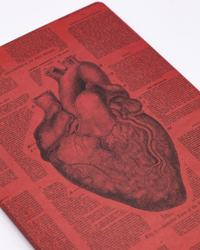 Anatomical Heart Softcover - Lined Cognitive Surplus