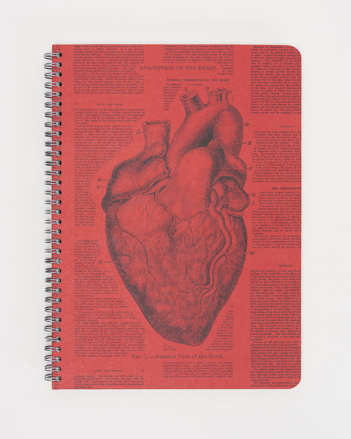 Anatomical Heart Spiral Notebook