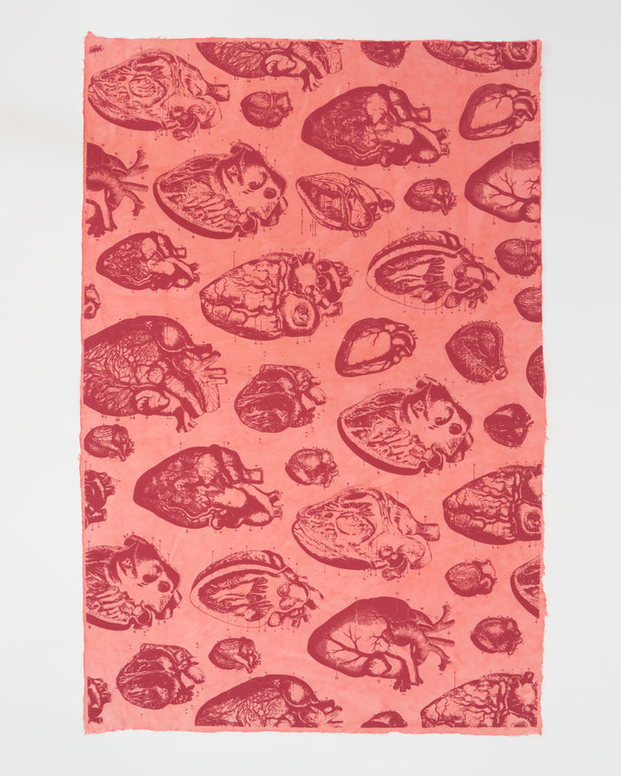 Anatomical Heart Wrapping Paper