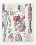 Anatomy Lab Notebook Cognitive Surplus