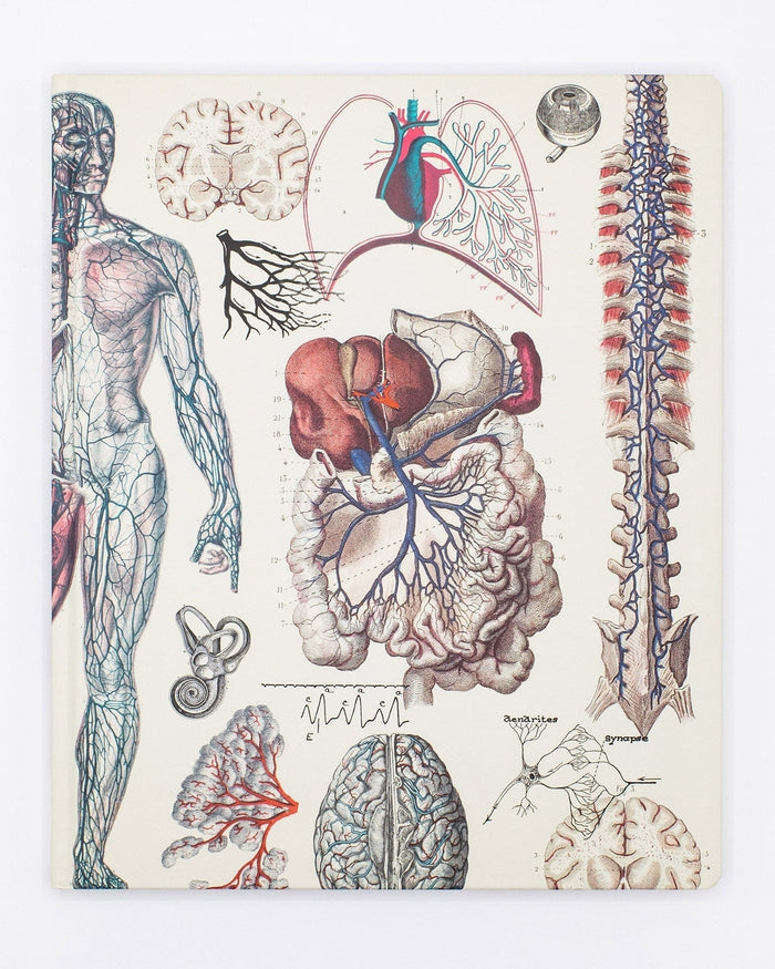 Anatomy Lab Notebook Cognitive Surplus