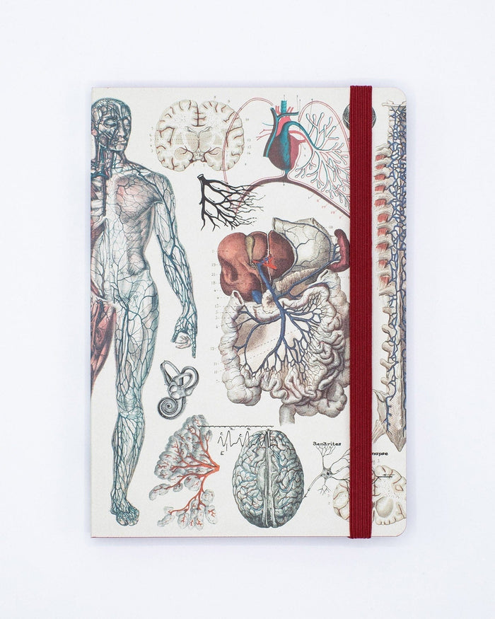 Anatomy & Physiology A5 Softcover Cognitive Surplus