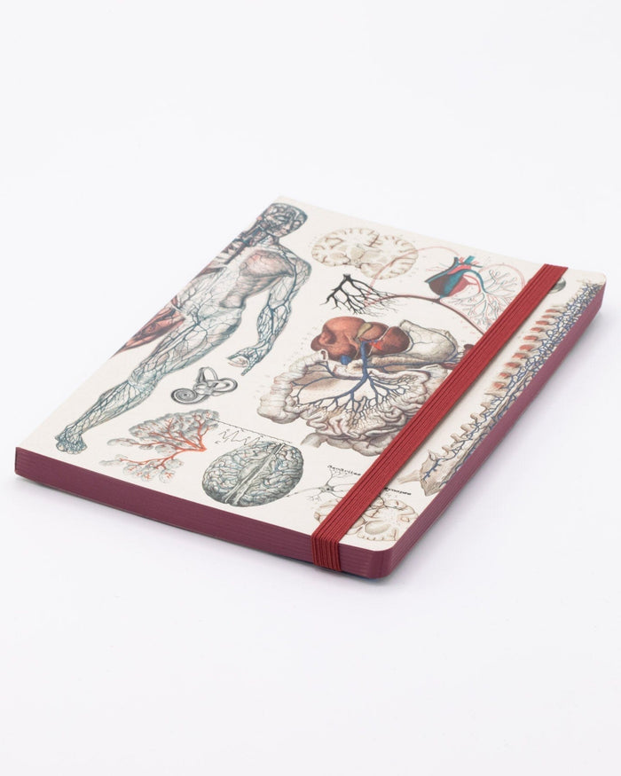 Anatomy & Physiology A5 Softcover Cognitive Surplus
