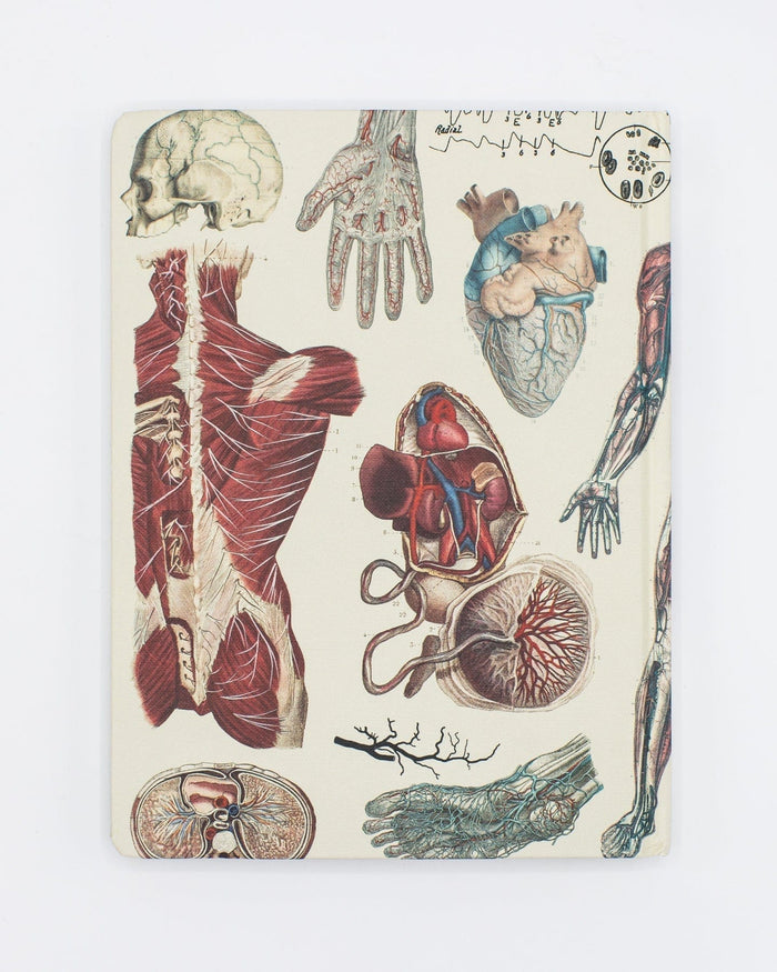 Anatomy: Vascular Hardcover - Dot Grid Cognitive Surplus