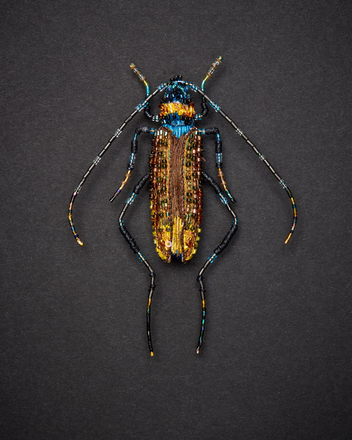 Aphrodisium Beetle Brooch Pin - Trovelore