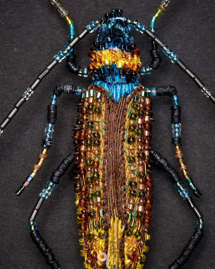 Aphrodisium Beetle Brooch Pin - Trovelore