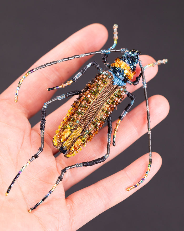 Aphrodisium Beetle Brooch Pin - Trovelore