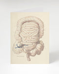 A Appendix Cut Here Card with an illustration of the digestive system made by Cognitive Surplus.