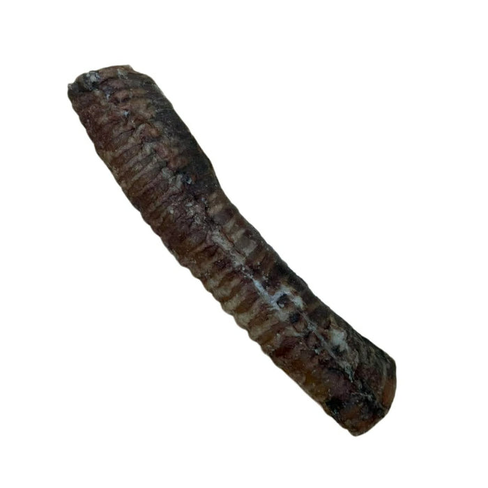 Beef Trachea Dehydrated