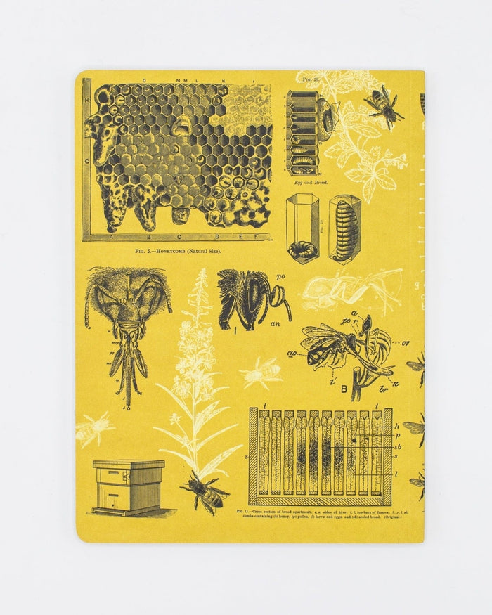 Bees Softcover - Lined Cognitive Surplus