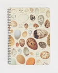 Bird Eggs Spiral Notebook - Lined