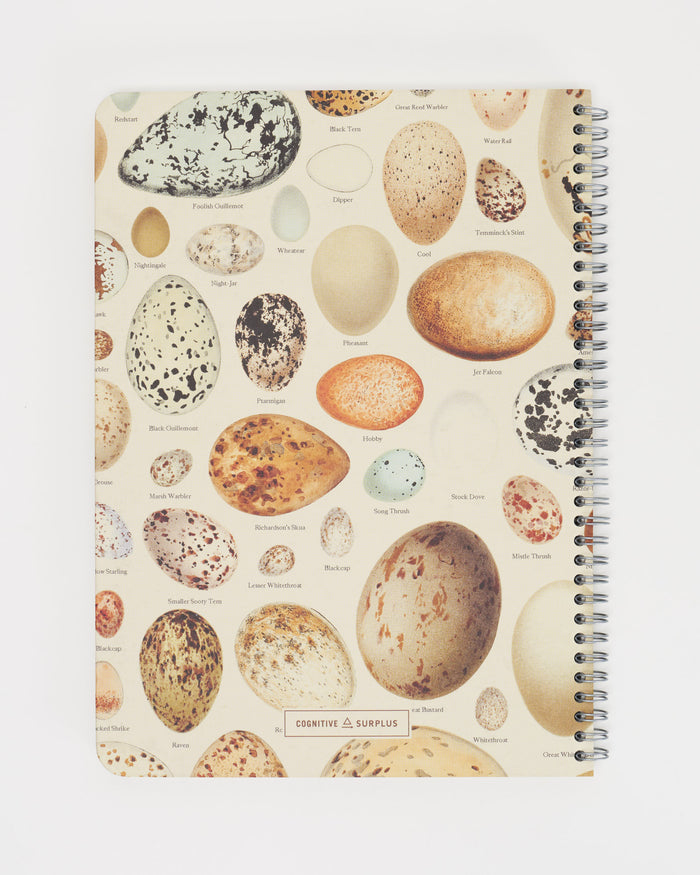 Bird Eggs Spiral Notebook - Lined