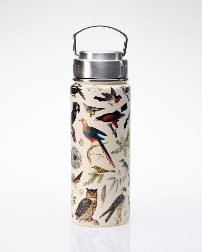 Birds 18 oz Steel Bottle Cognitive Surplus