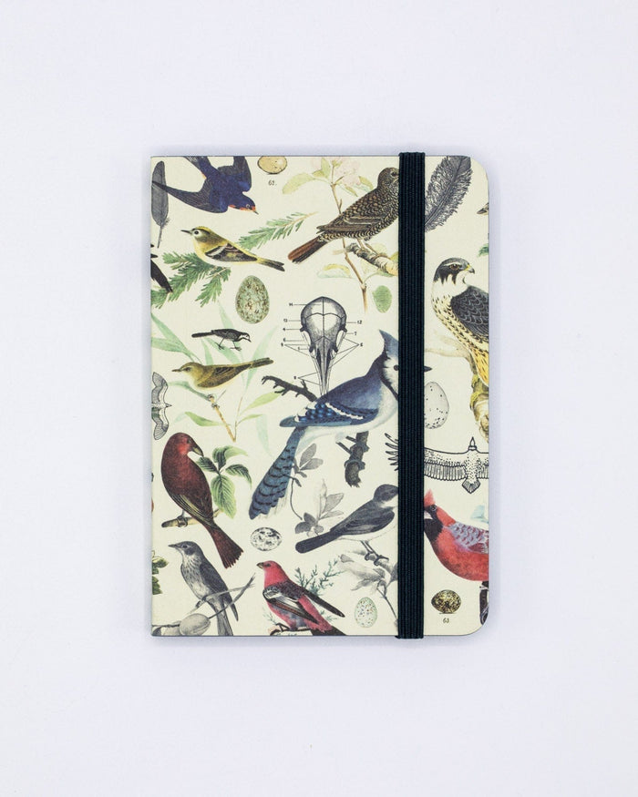 Birds & Feathers Observation Softcover Cognitive Surplus