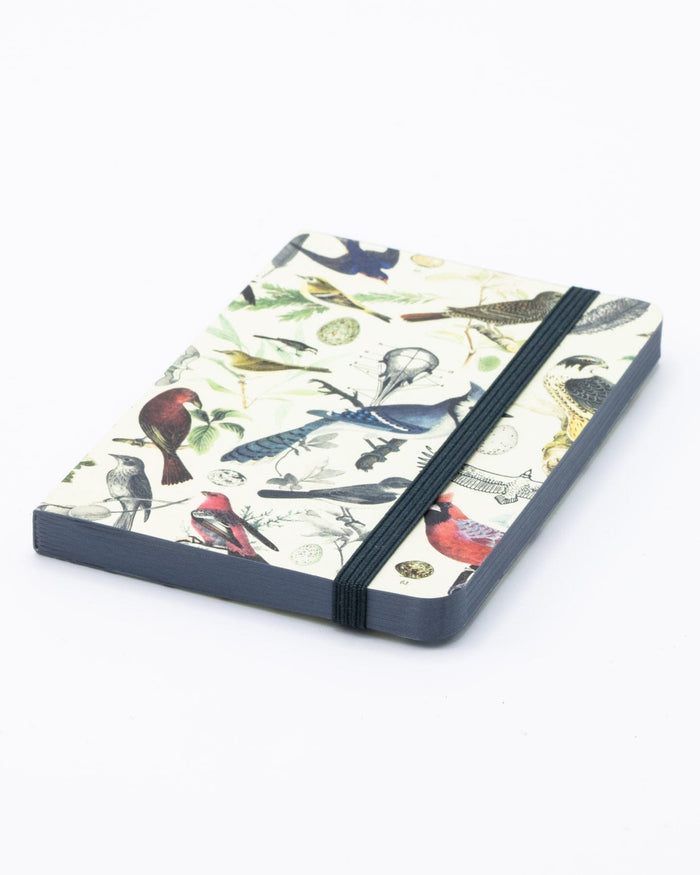Birds & Feathers Observation Softcover Cognitive Surplus