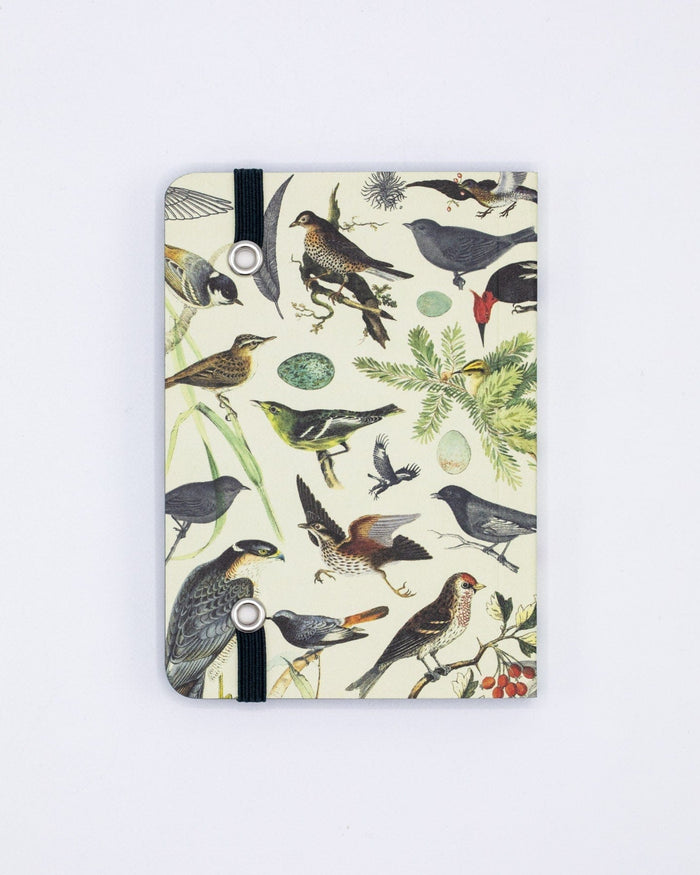 Birds & Feathers Observation Softcover Cognitive Surplus