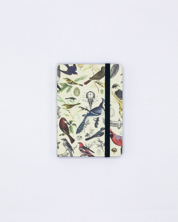 Birds & Feathers Observation Softcover Cognitive Surplus