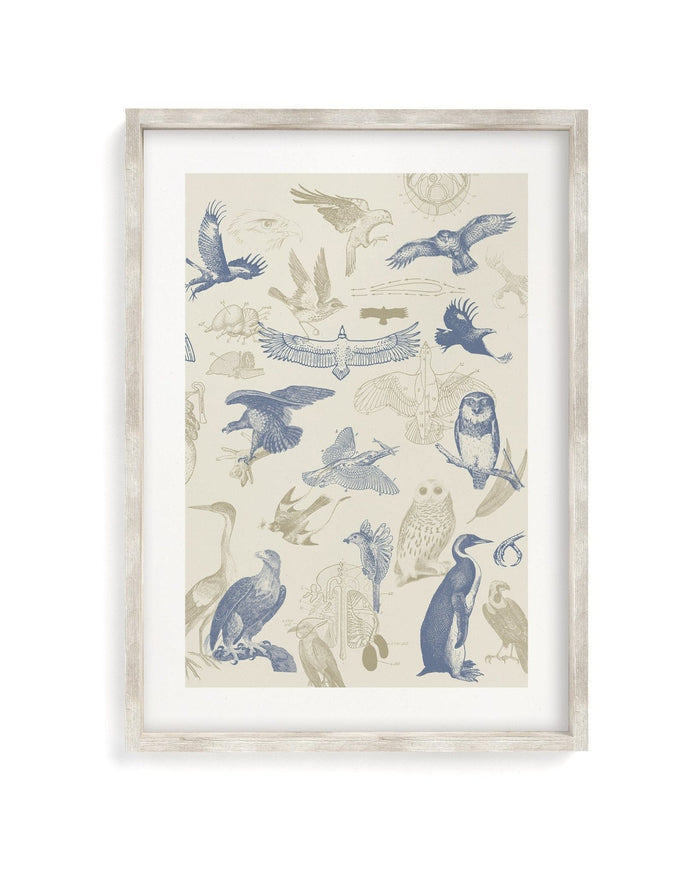 Birds of Prey Museum Print Cognitive Surplus