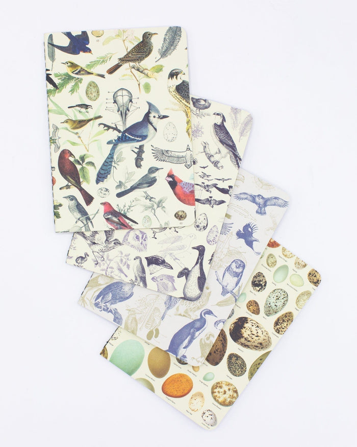 Birds: Ornithology Pocket Notebook 4-pack Cognitive Surplus