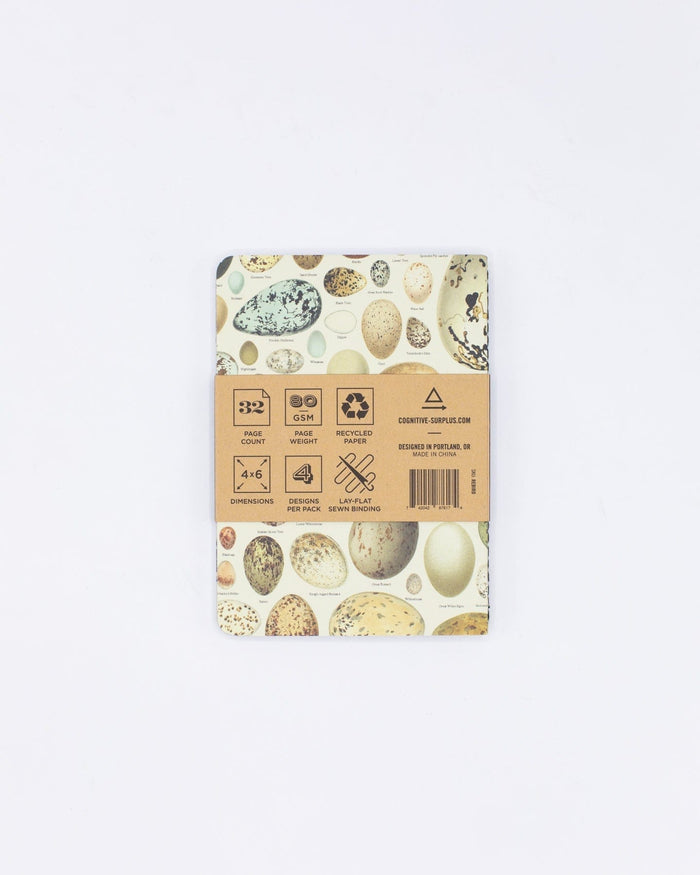 Birds: Ornithology Pocket Notebook 4-pack Cognitive Surplus