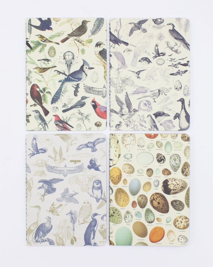 Birds: Ornithology Pocket Notebook 4-pack Cognitive Surplus