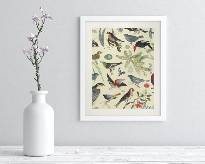Birds Museum Print Cognitive Surplus