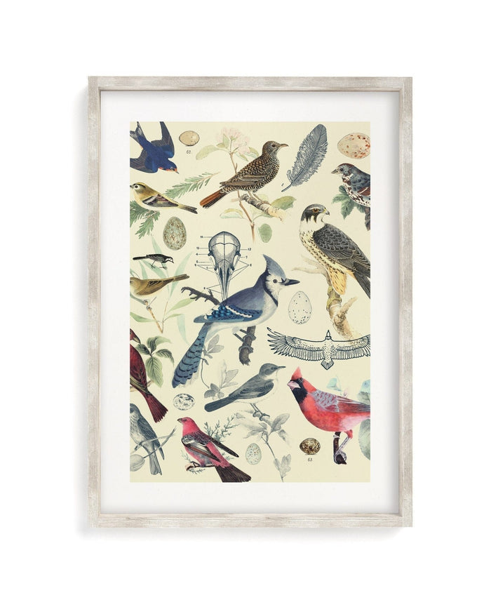 Birds Museum Print Cognitive Surplus