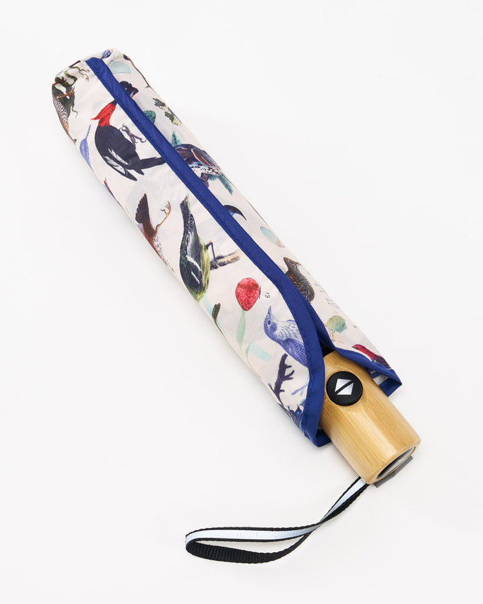 Birds Umbrella