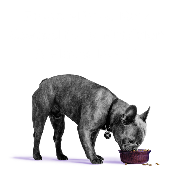 Bixbi Pet Rawbble® Dry Food for Dogs – Lamb Recipe