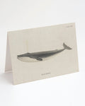 A Blue Whale Card with an image of a whale on it from Cognitive Surplus.