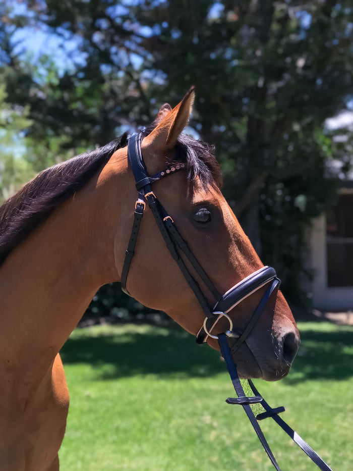 Blush Rose Gold Bridle - Wanneroo Stockfeeders