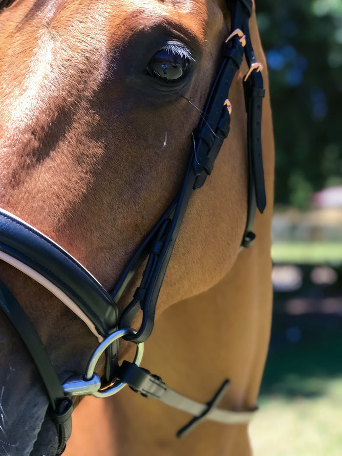 Blush Rose Gold Bridle - Wanneroo Stockfeeders
