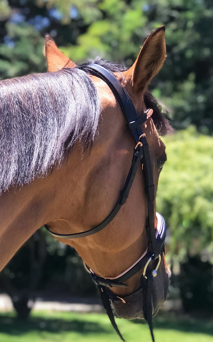 Blush Rose Gold Bridle - Wanneroo Stockfeeders