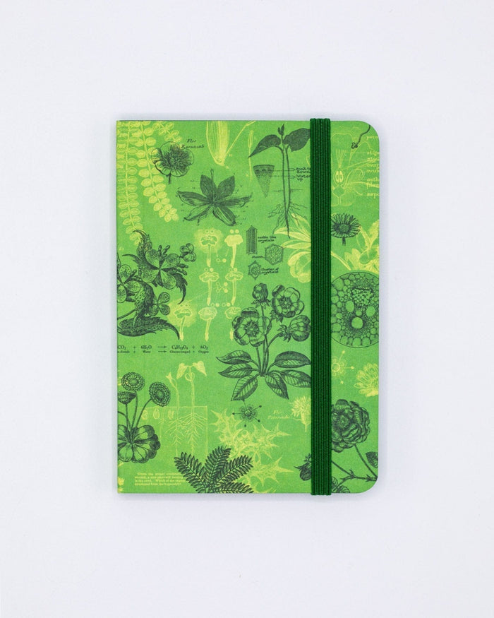 Botanical Reverie Observation Softcover Cognitive Surplus
