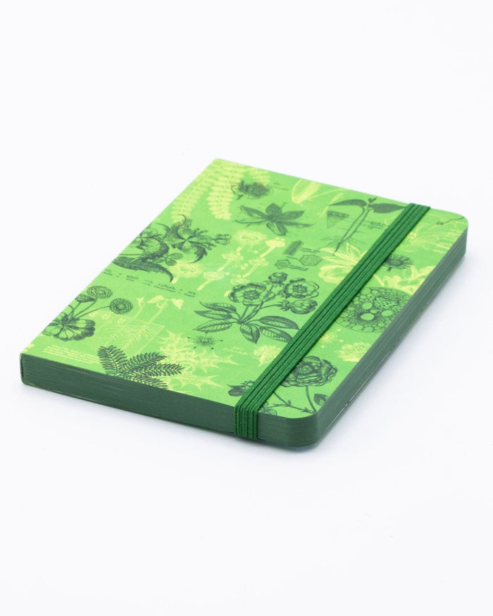 Botanical Reverie Observation Softcover Cognitive Surplus