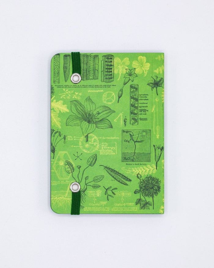 Botanical Reverie Observation Softcover Cognitive Surplus