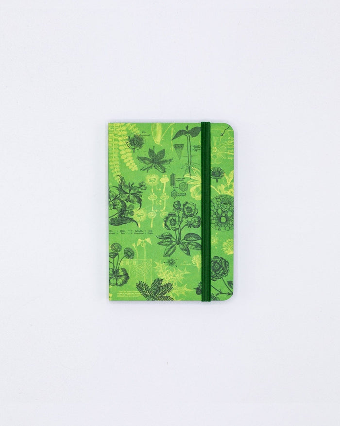 Botanical Reverie Observation Softcover Cognitive Surplus