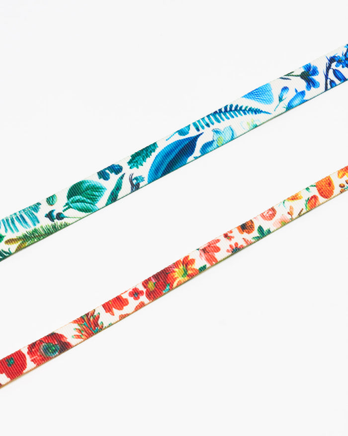 Botany Eco Pet Leash