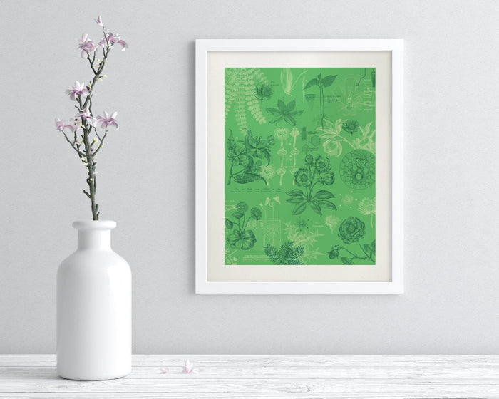 Botany Museum Print Cognitive Surplus