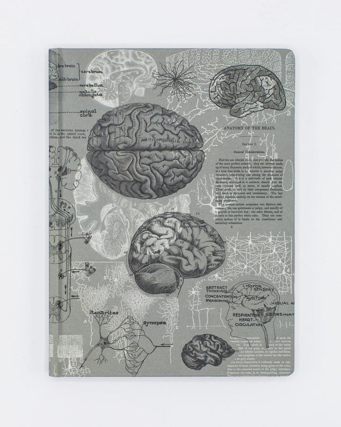Brain Anatomy Hardcover - Dot Grid Cognitive Surplus