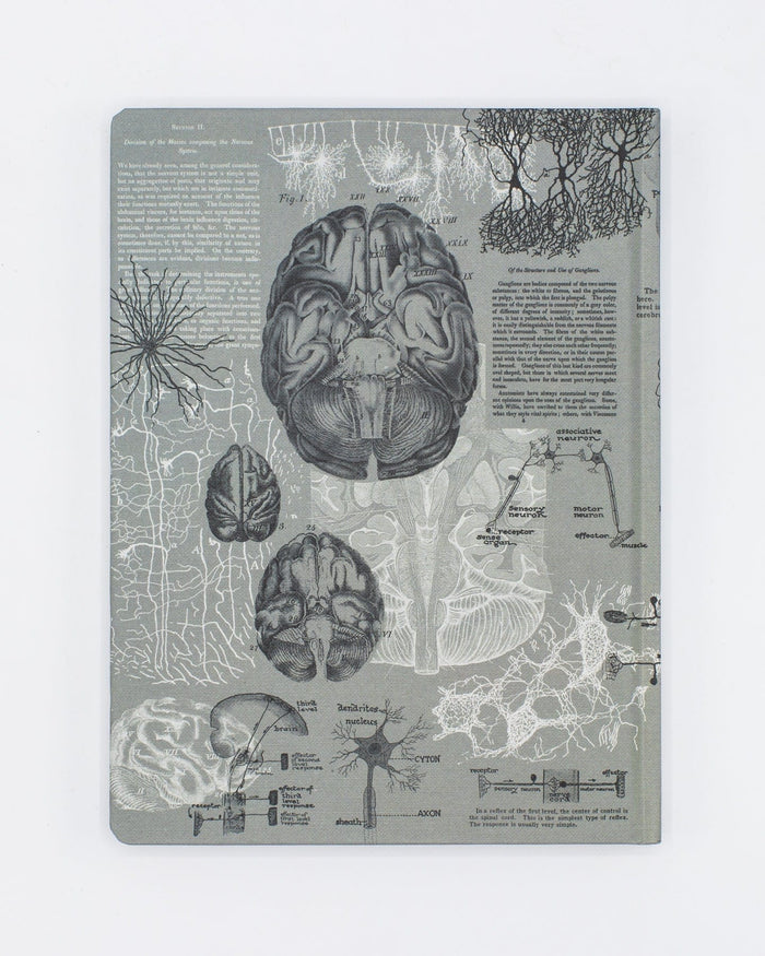 Brain Anatomy Hardcover - Dot Grid Cognitive Surplus